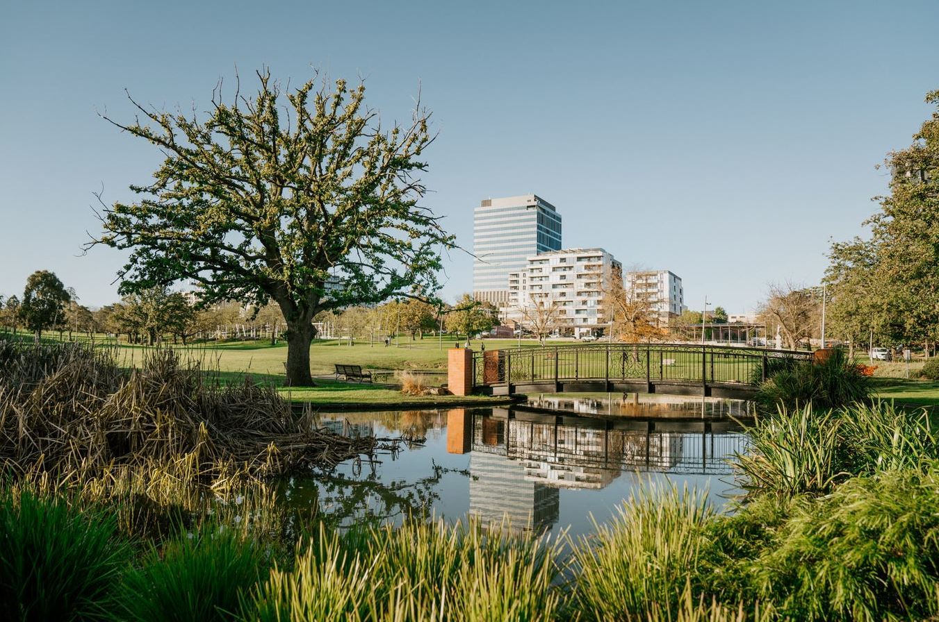 Real Estate in Box Hill
