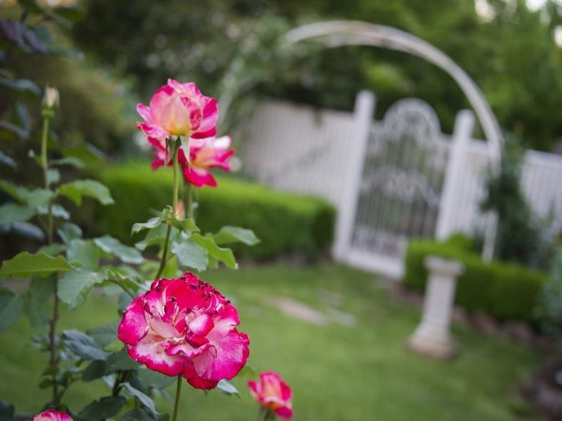 Real Estate in Balwyn North