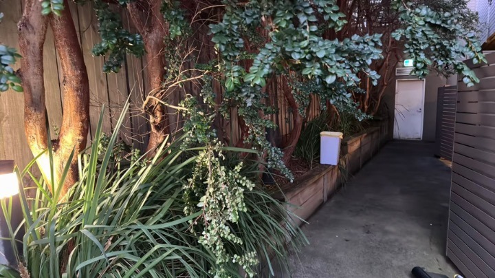 Real Estate in Box Hill