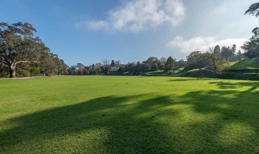 Real Estate in Hawthorn