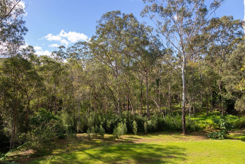 Image 18