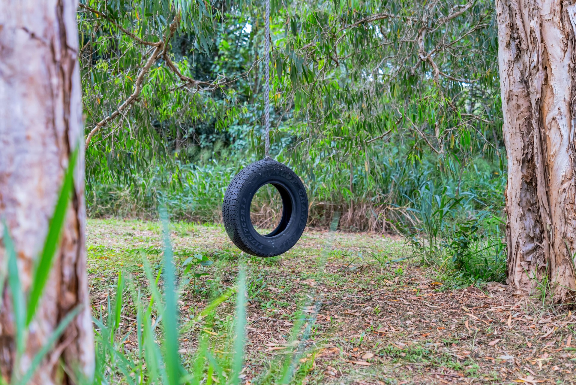 Image 29