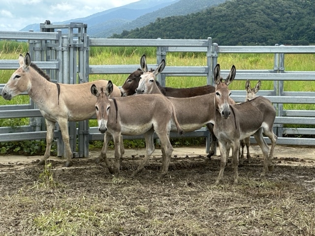 Image 14