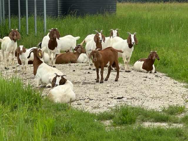 Image 10