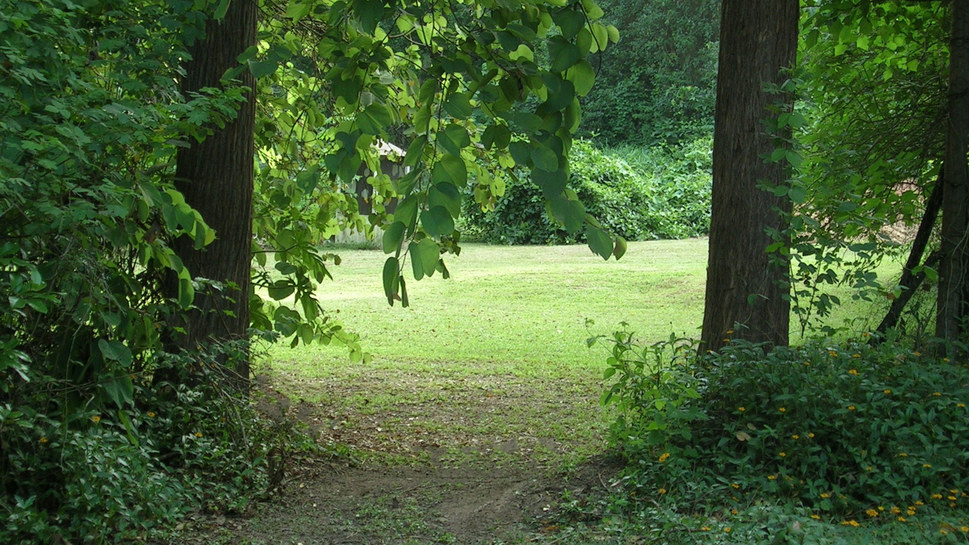 Image 11