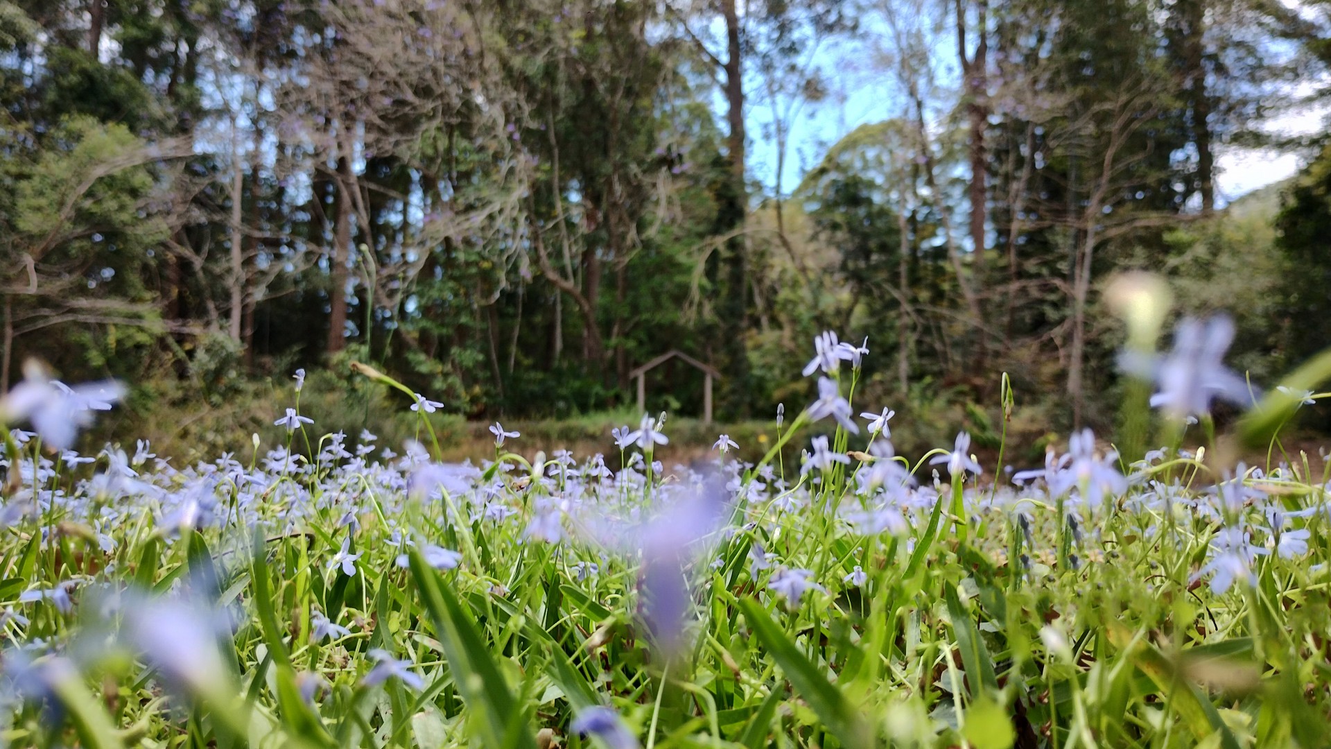 Image 14