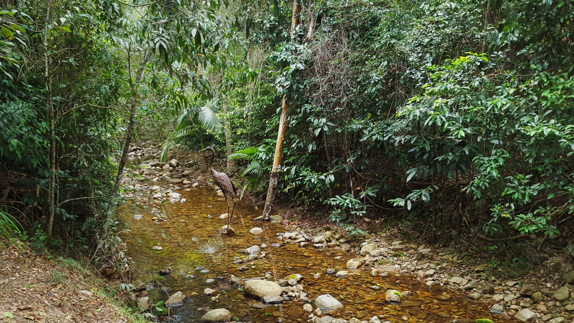 Image 15