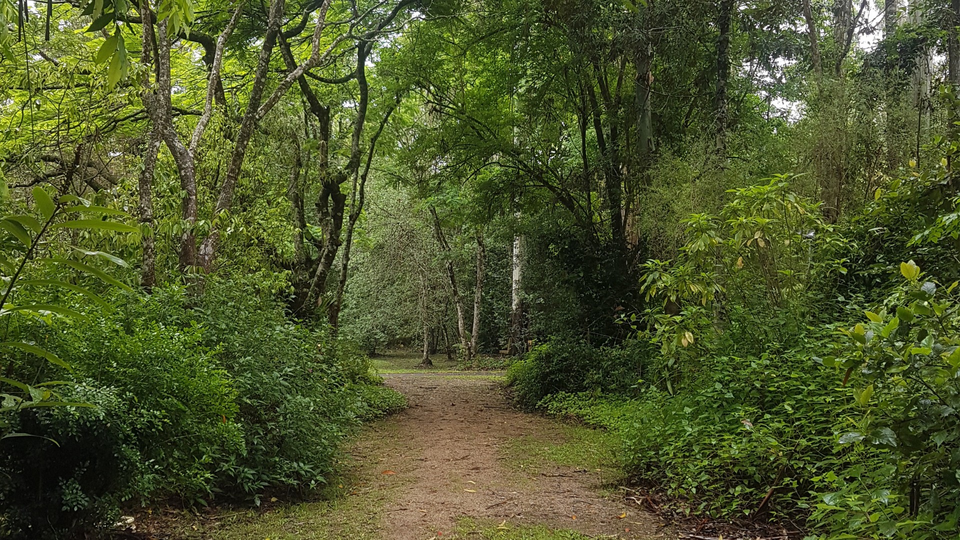 Image 13