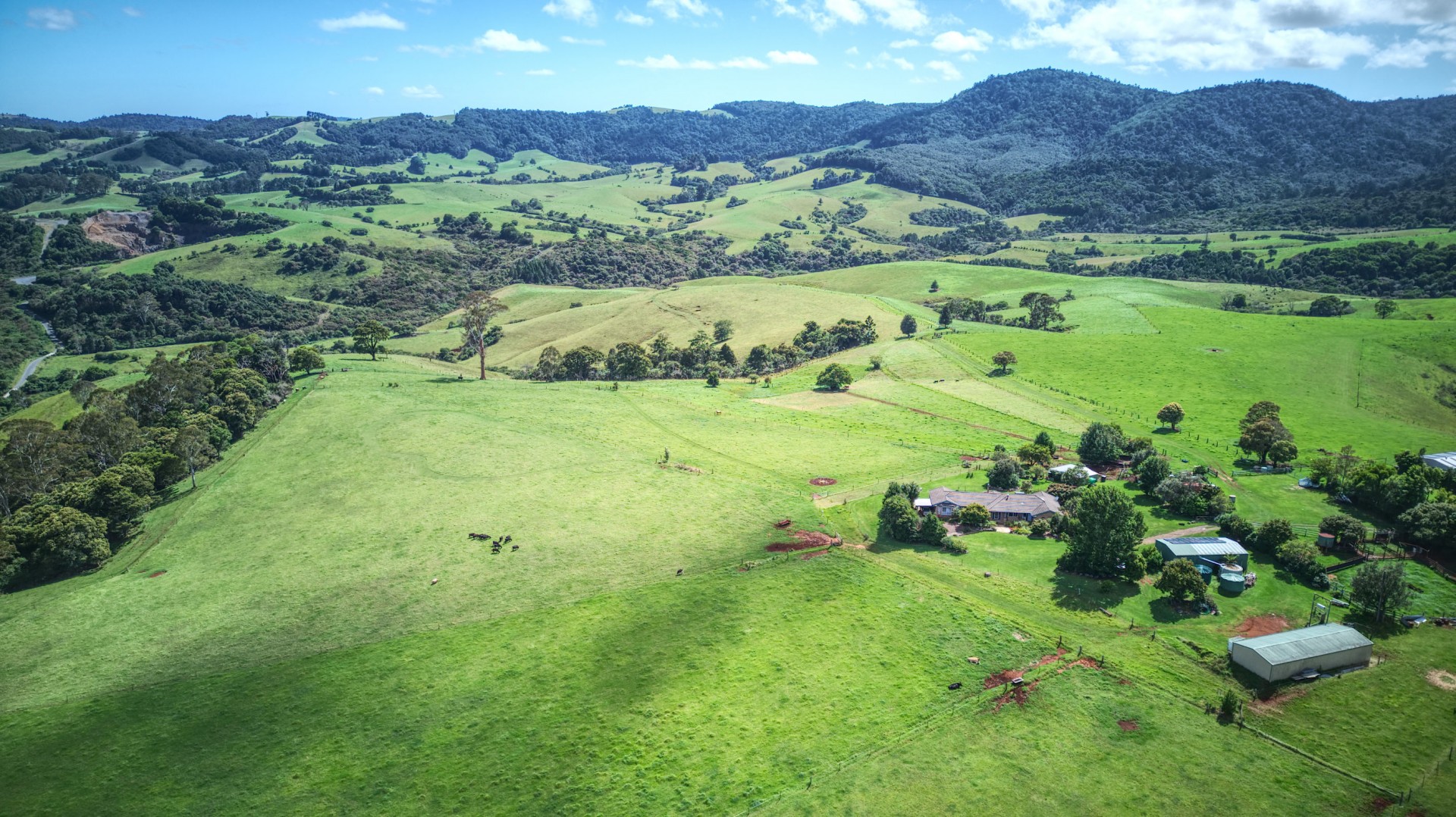 Property For Sale in Dorrigo