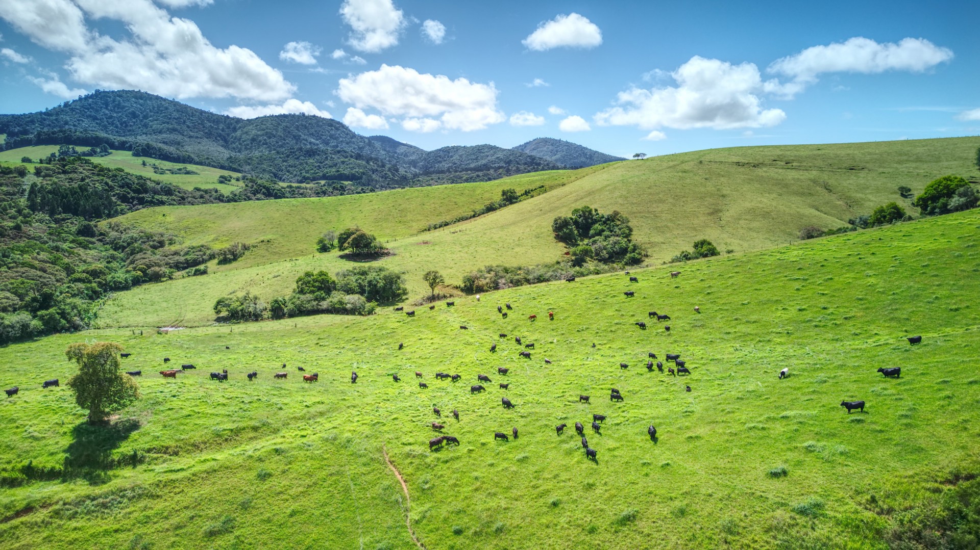 Property For Sale in Dorrigo