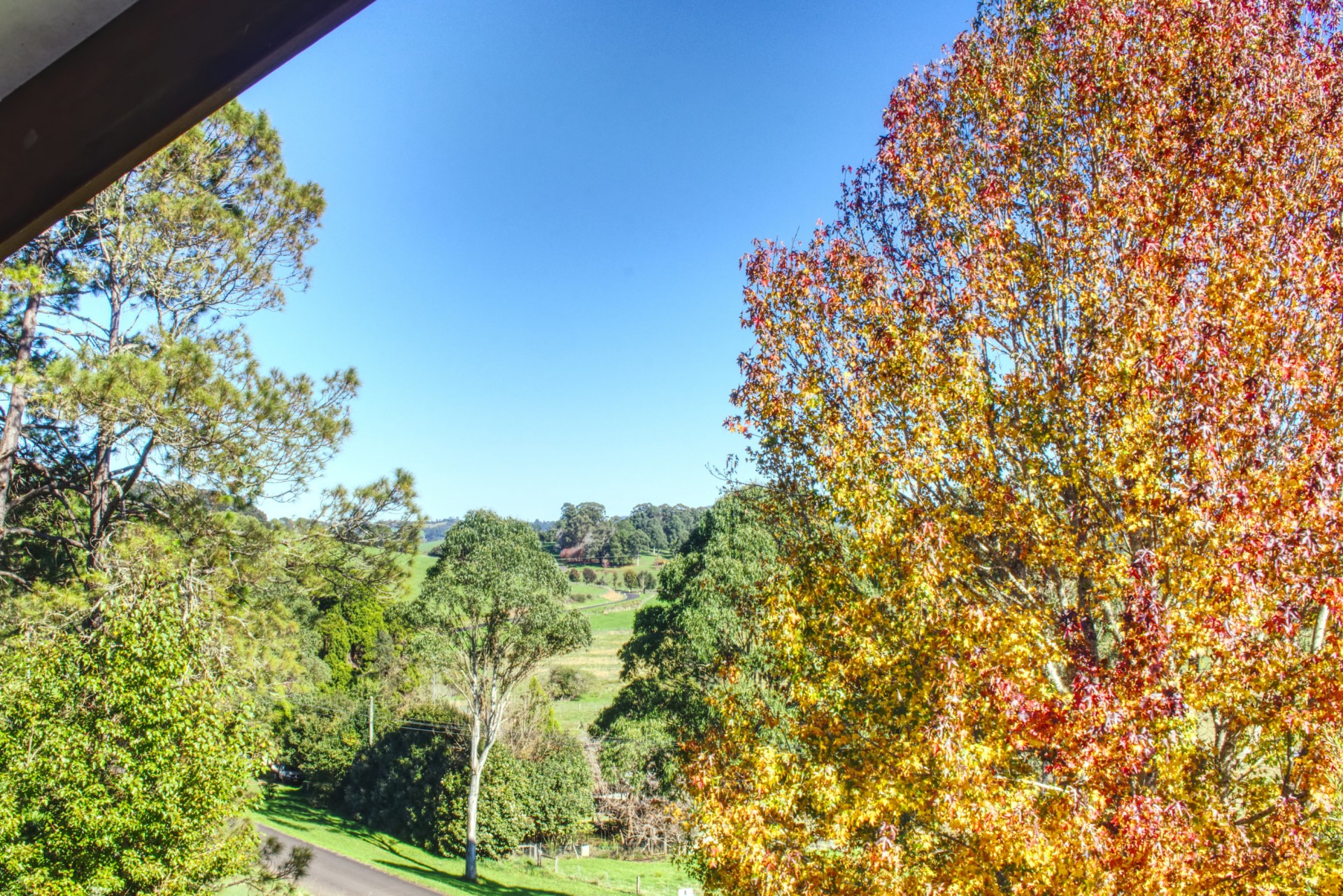 Property For Sale in Dorrigo