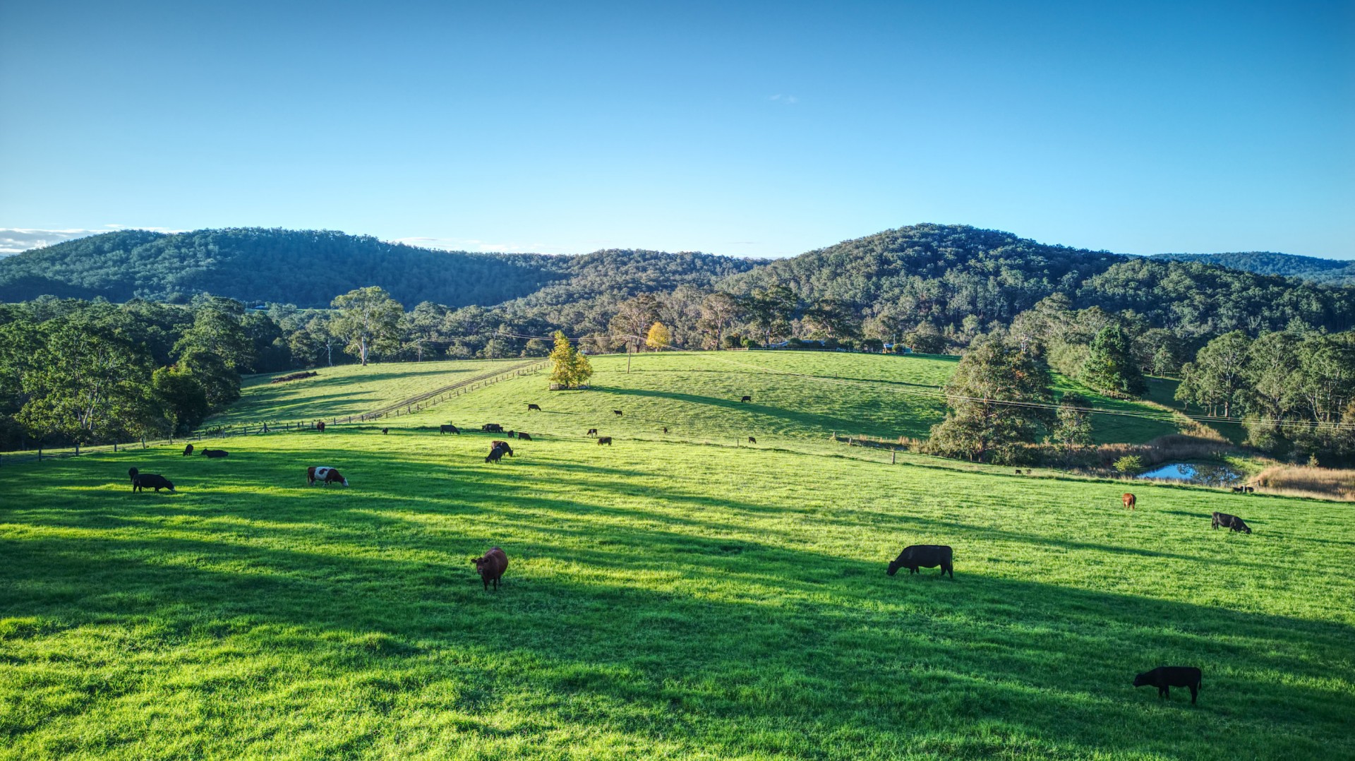 Property For Sale in Dorrigo