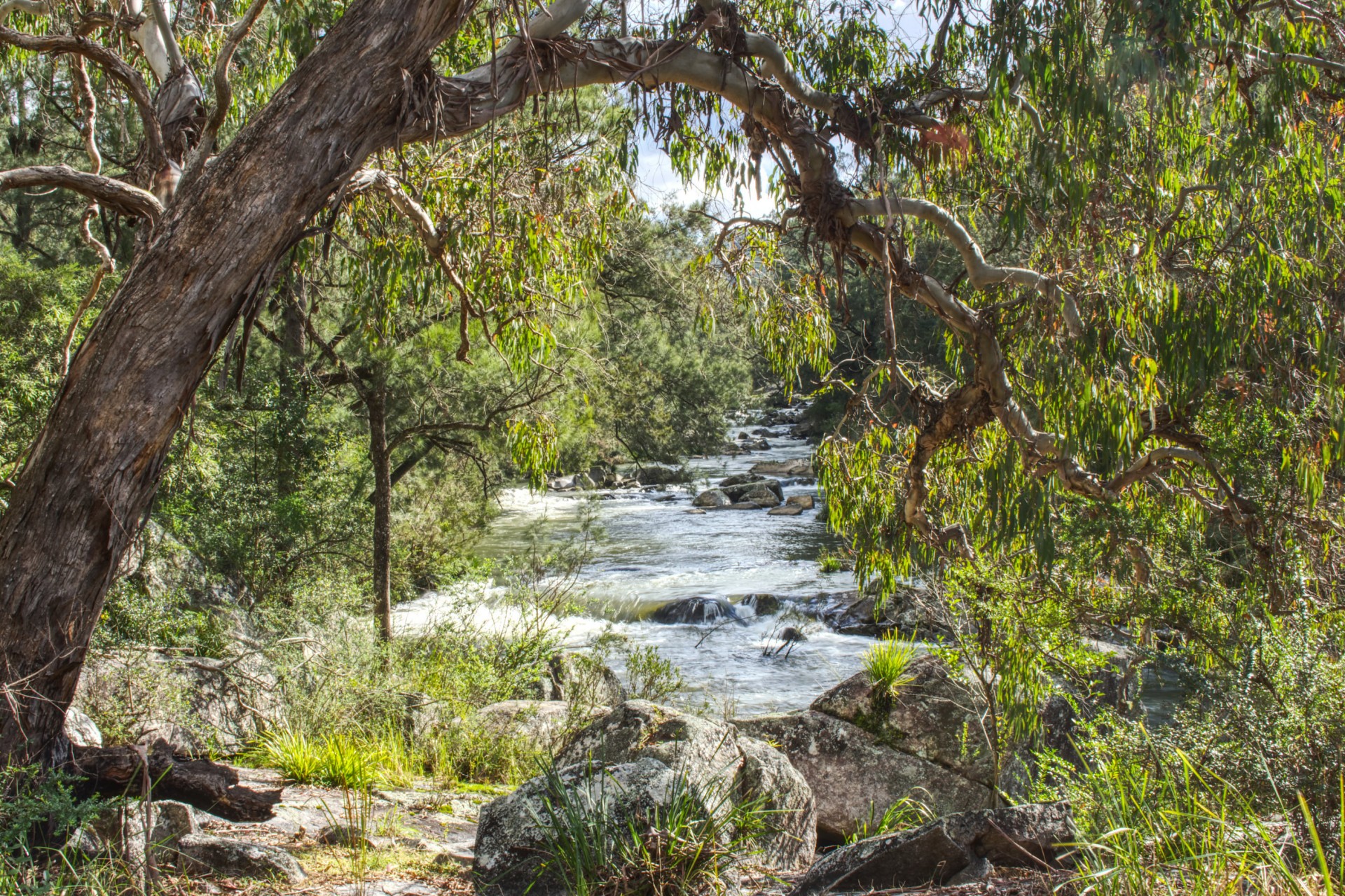 Property For Sale in Dorrigo