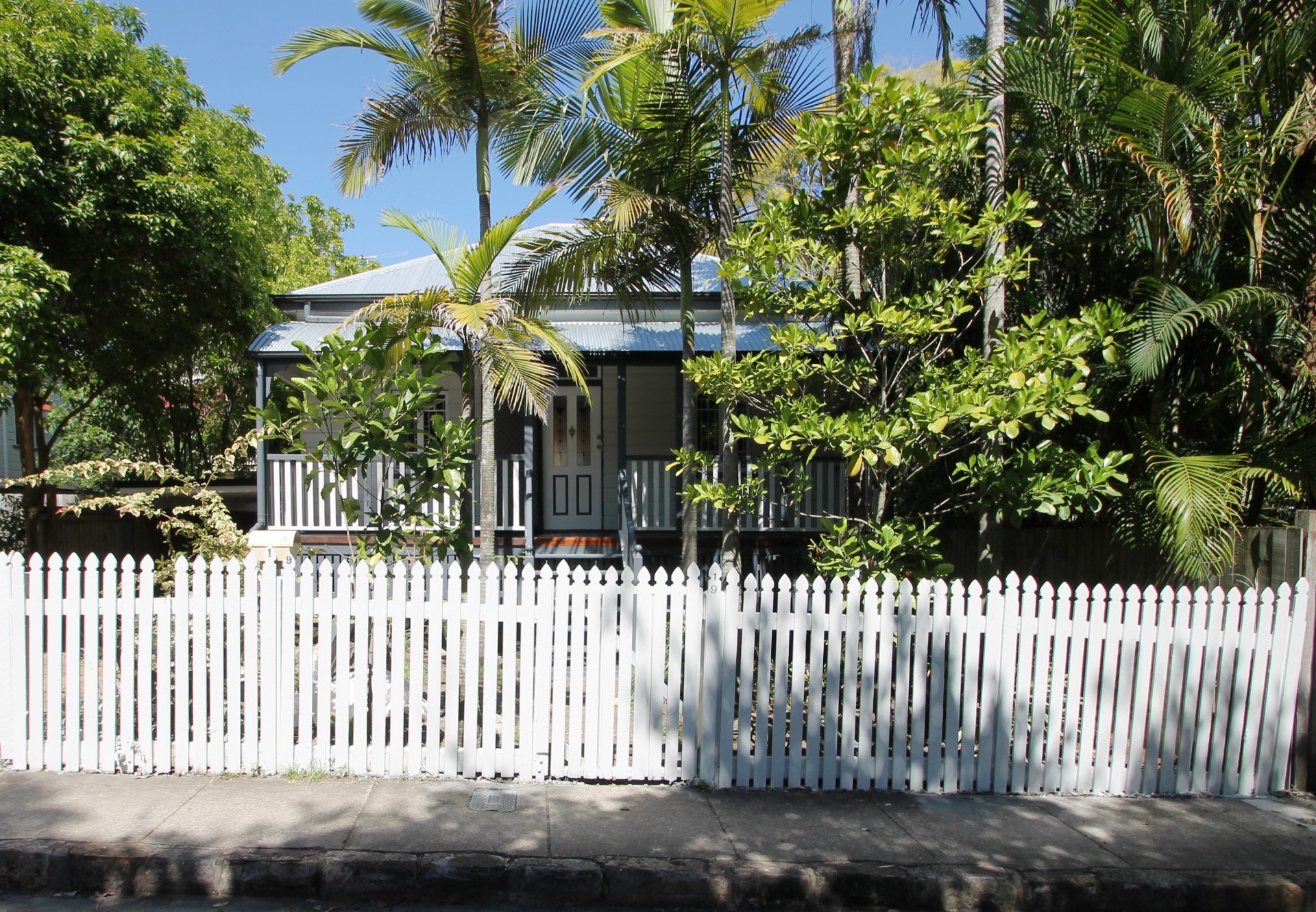 Image 4