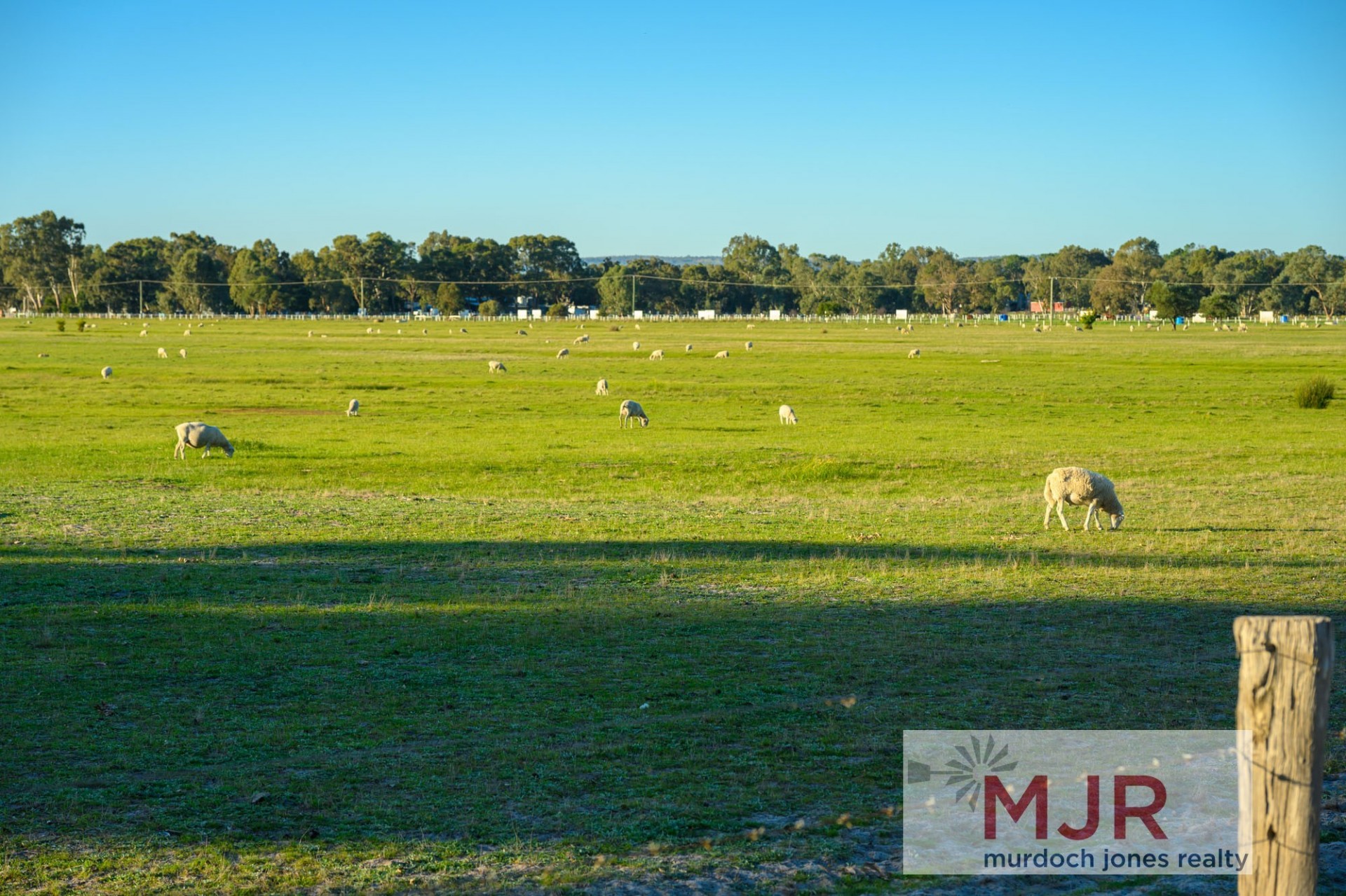 1001 Karnup Road, Serpentine - Image 1
