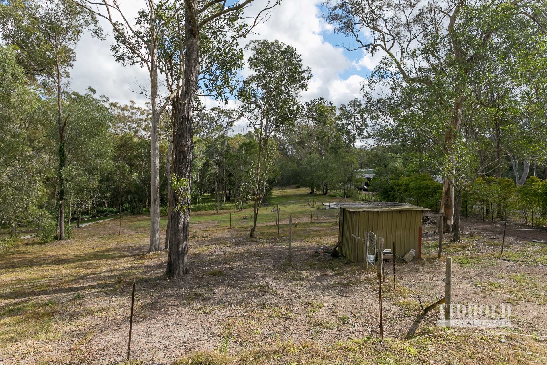 Image 12