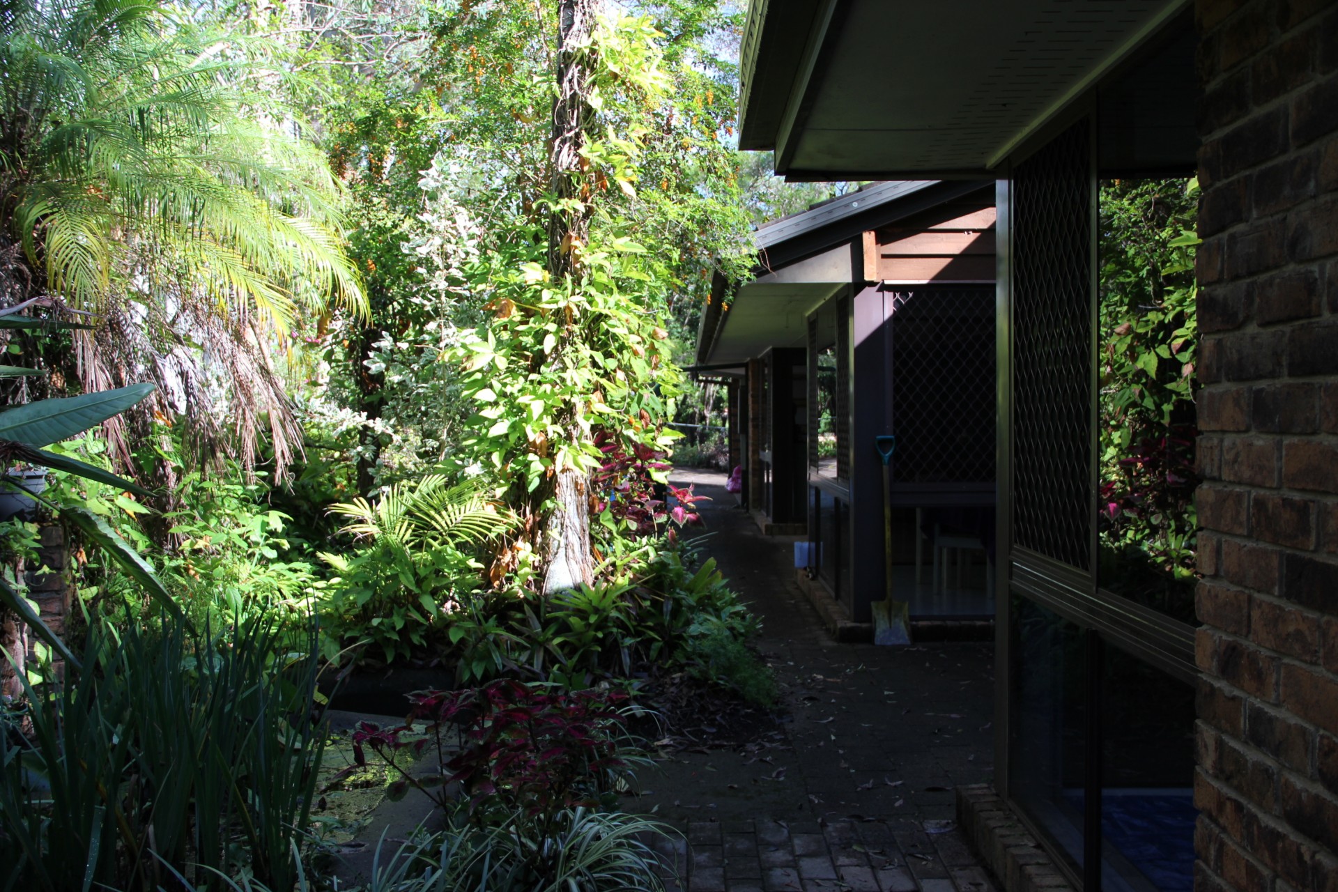 Image 13