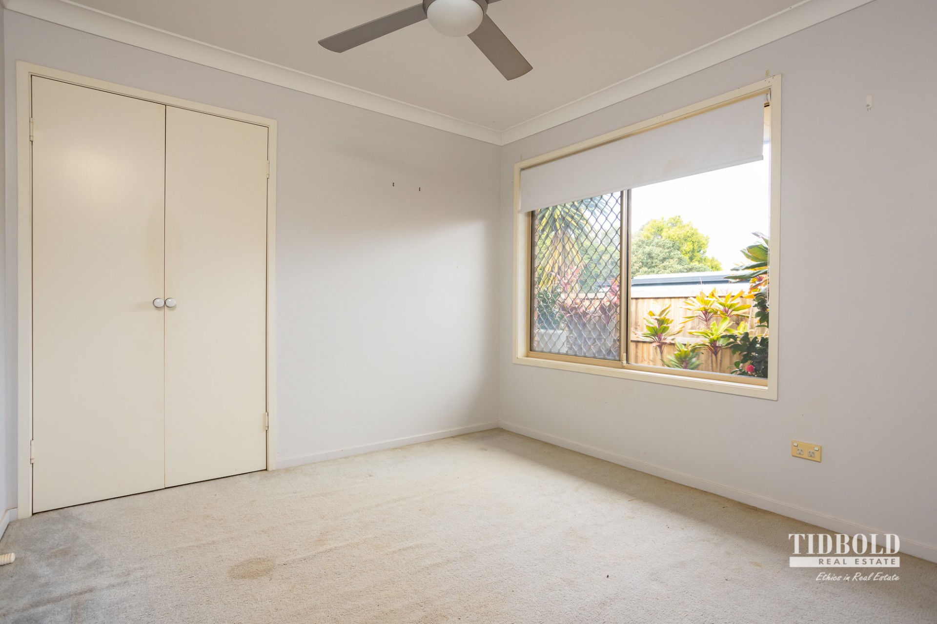17 Frances Street, Victoria Point - Thumbnail 8