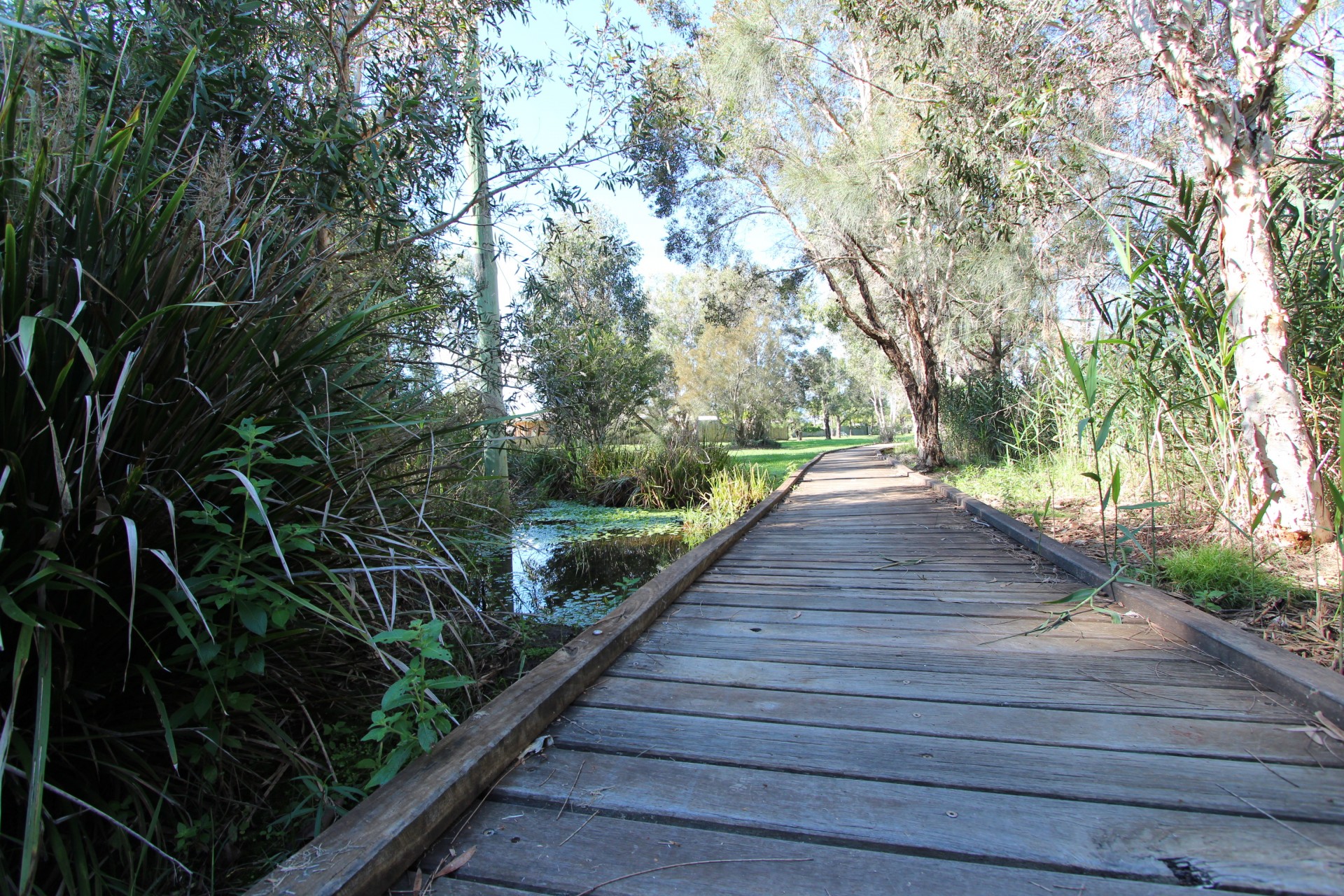 35 Aspect Drive, Victoria Point - Thumbnail 2