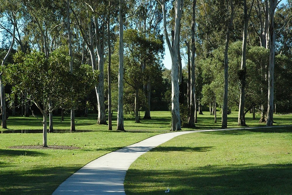 29 Patricia Street, Capalaba > Tidbold Real Estate