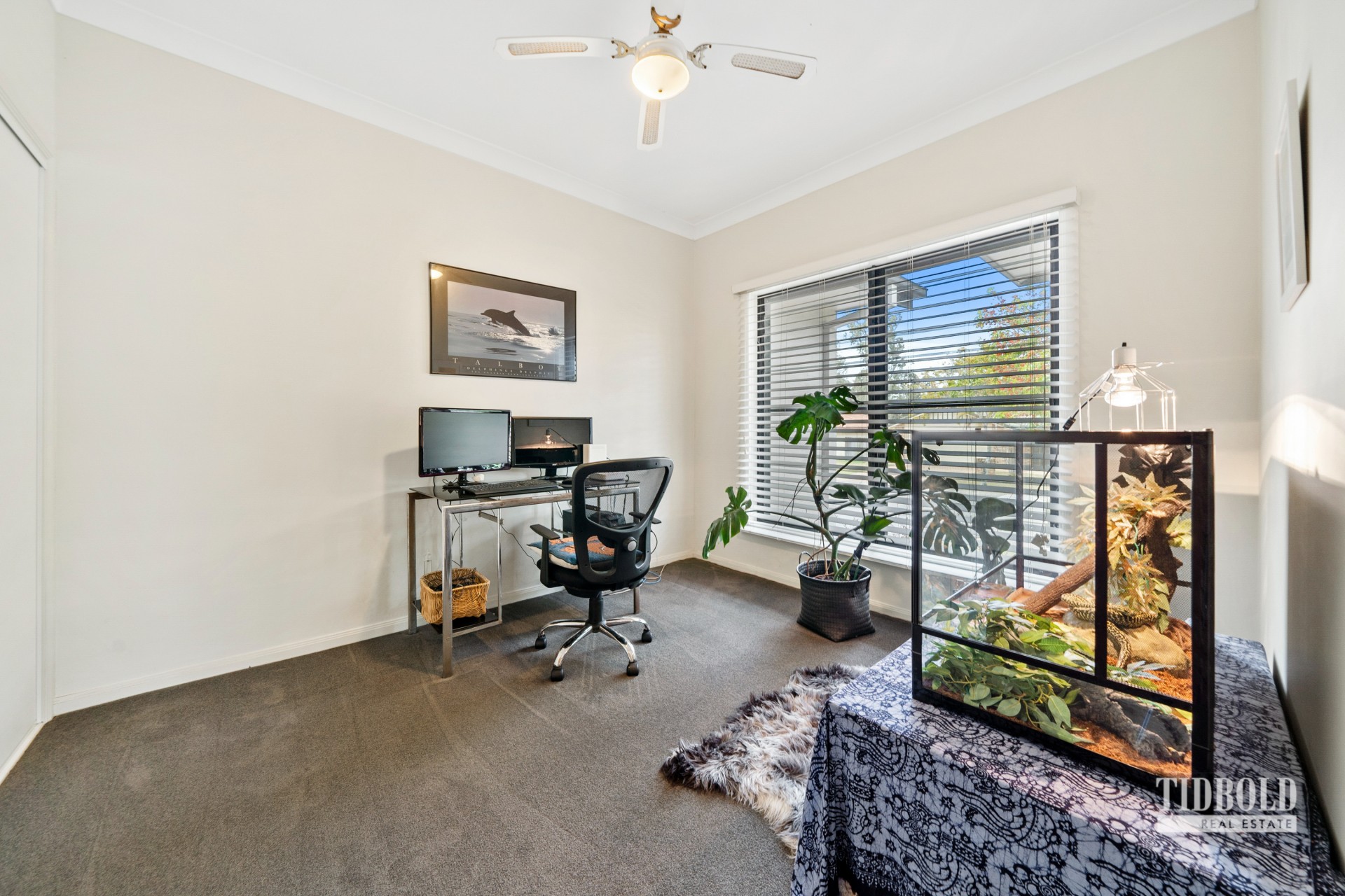 11 Bush Cherry Place, Thornlands > Tidbold Real Estate