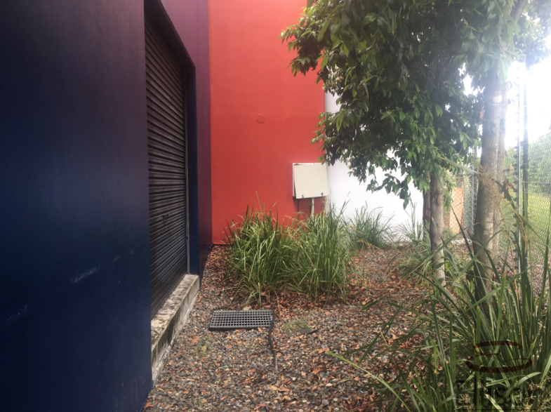Image 6