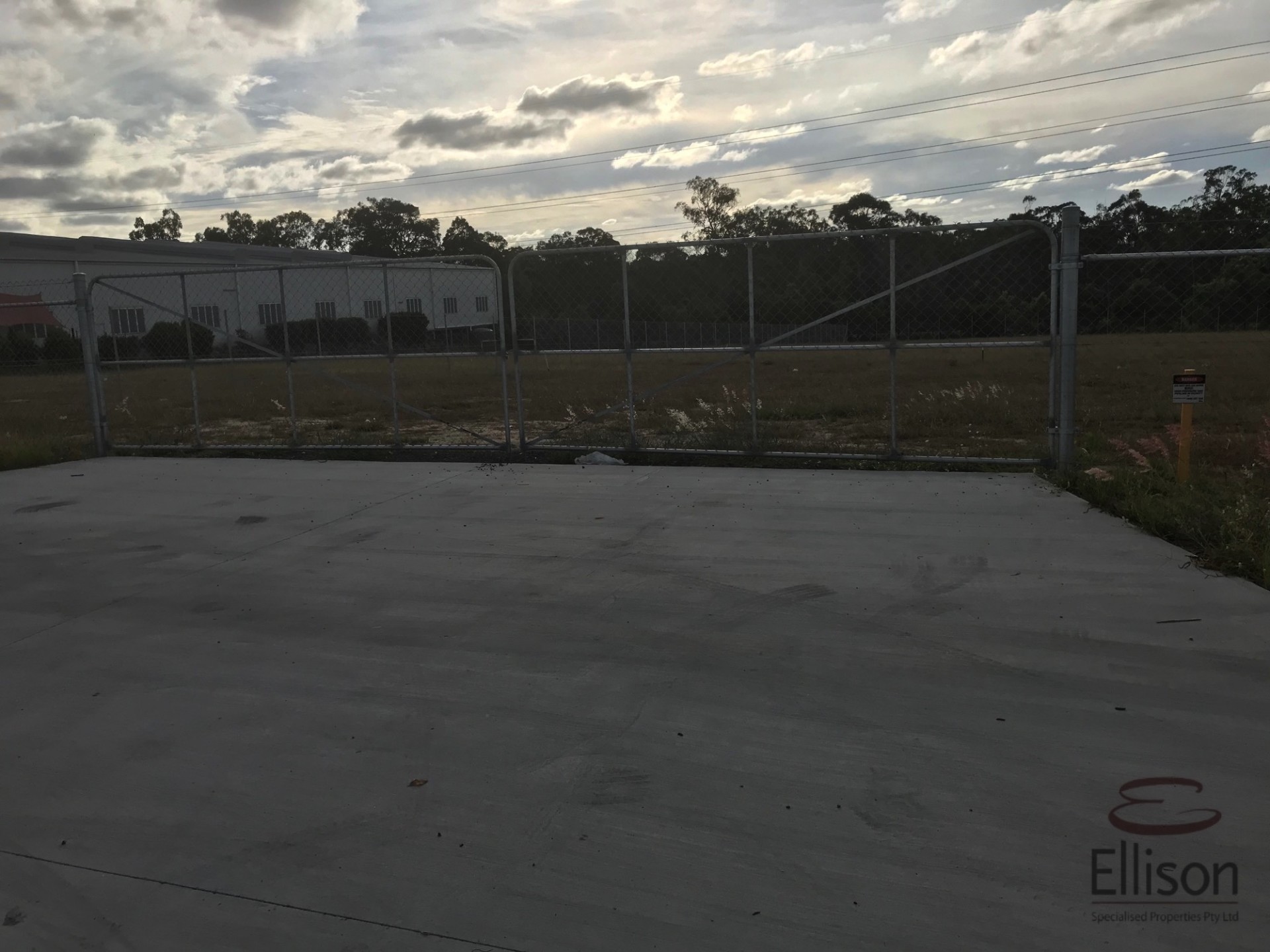 Image 5