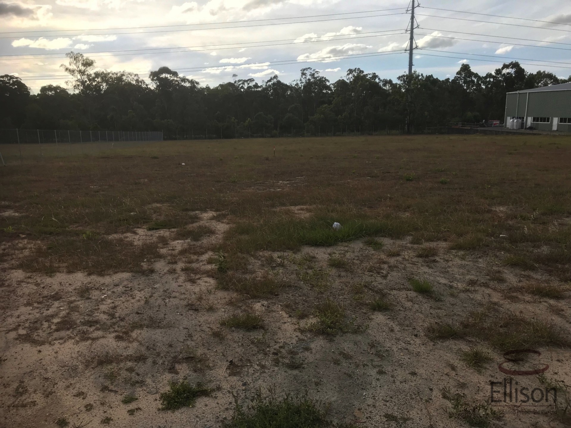 Image 4