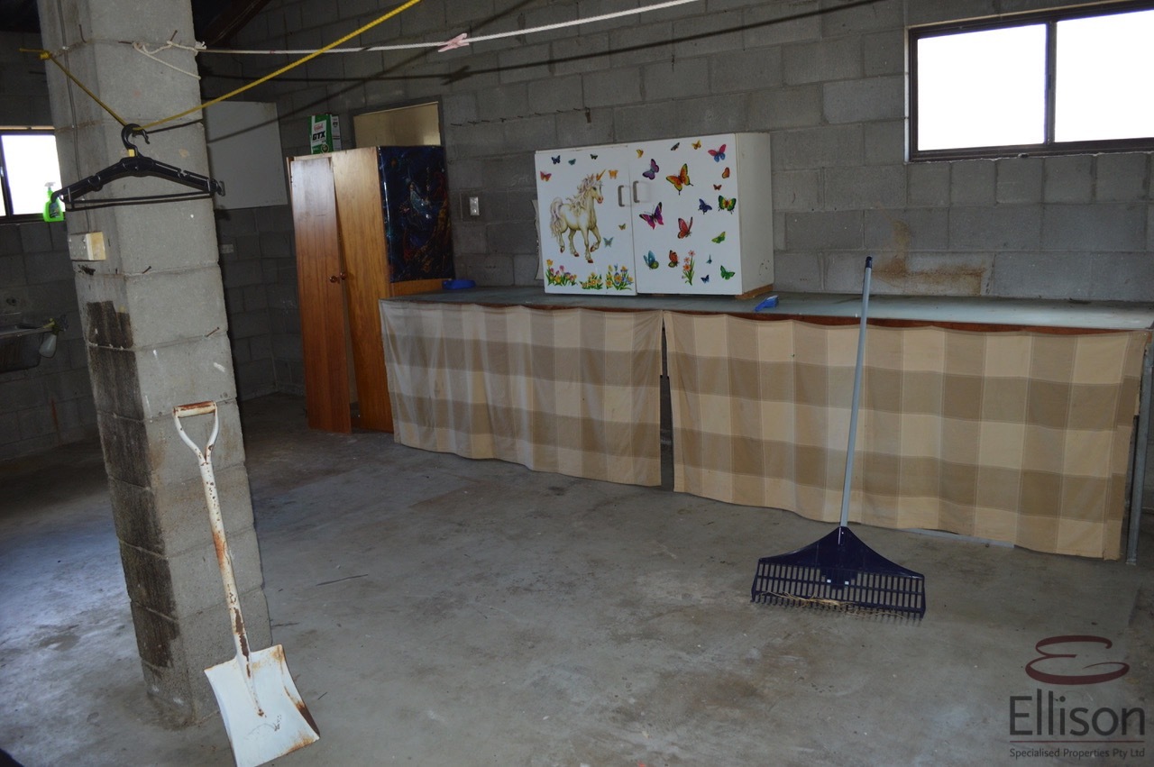 Image 11