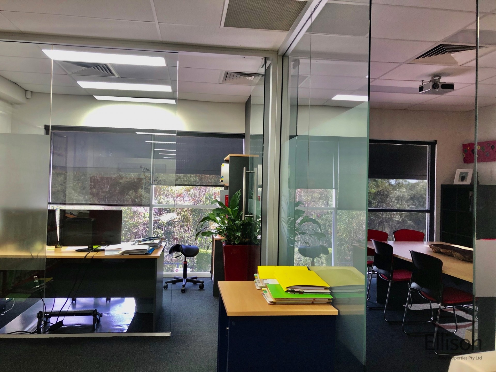 Image 5