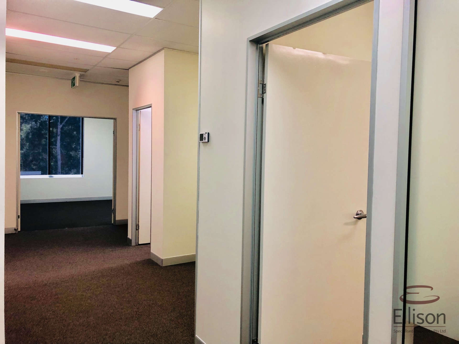 Image 6