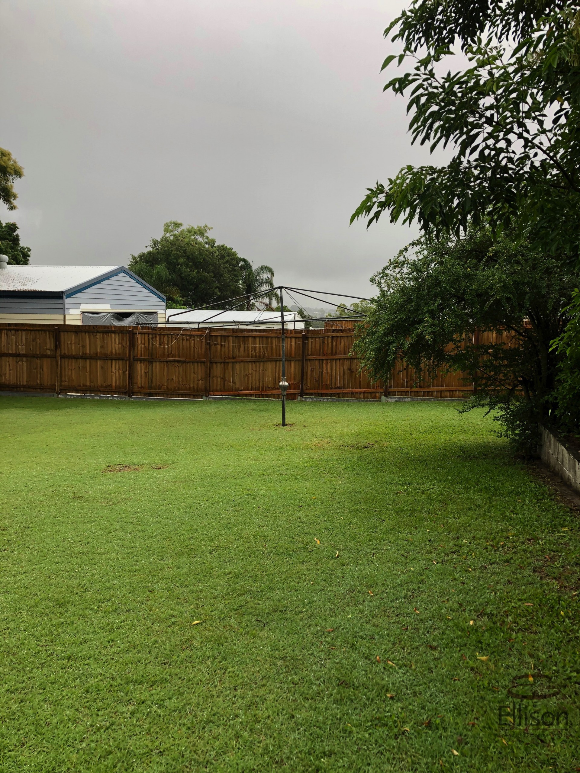 Image 15
