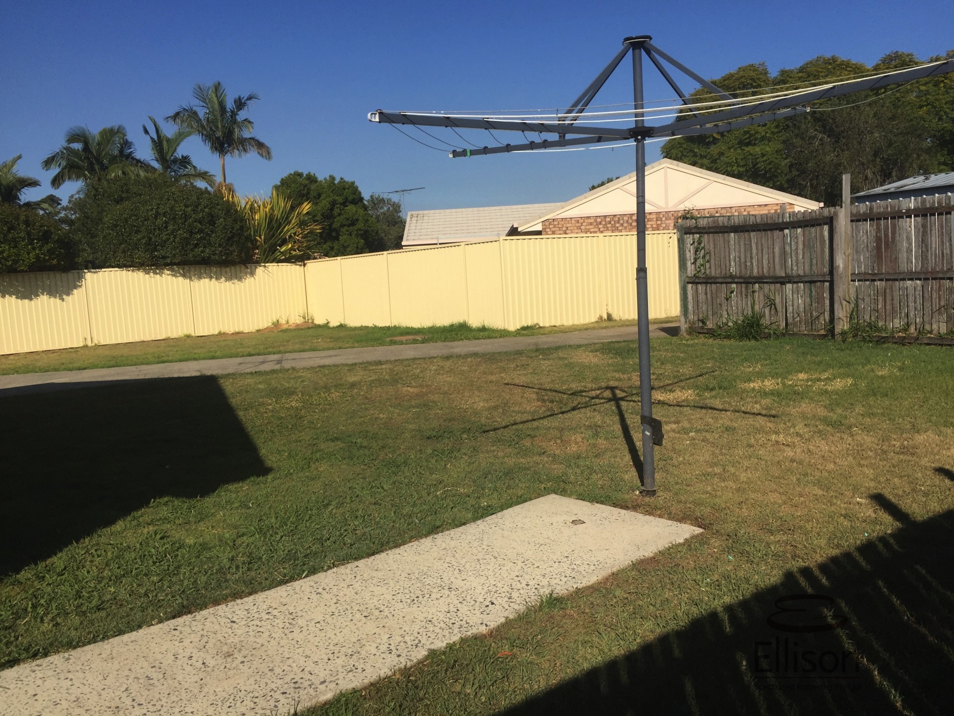 Image 15