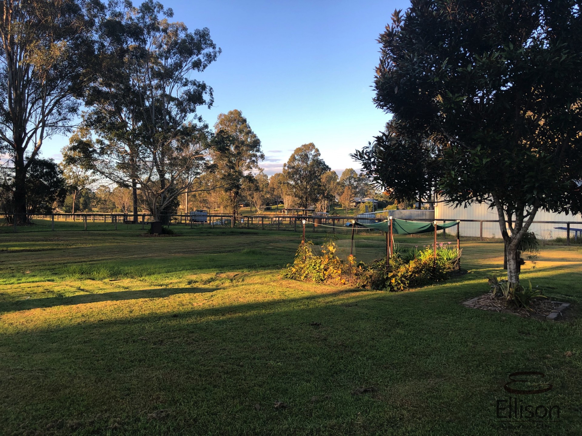 Image 14
