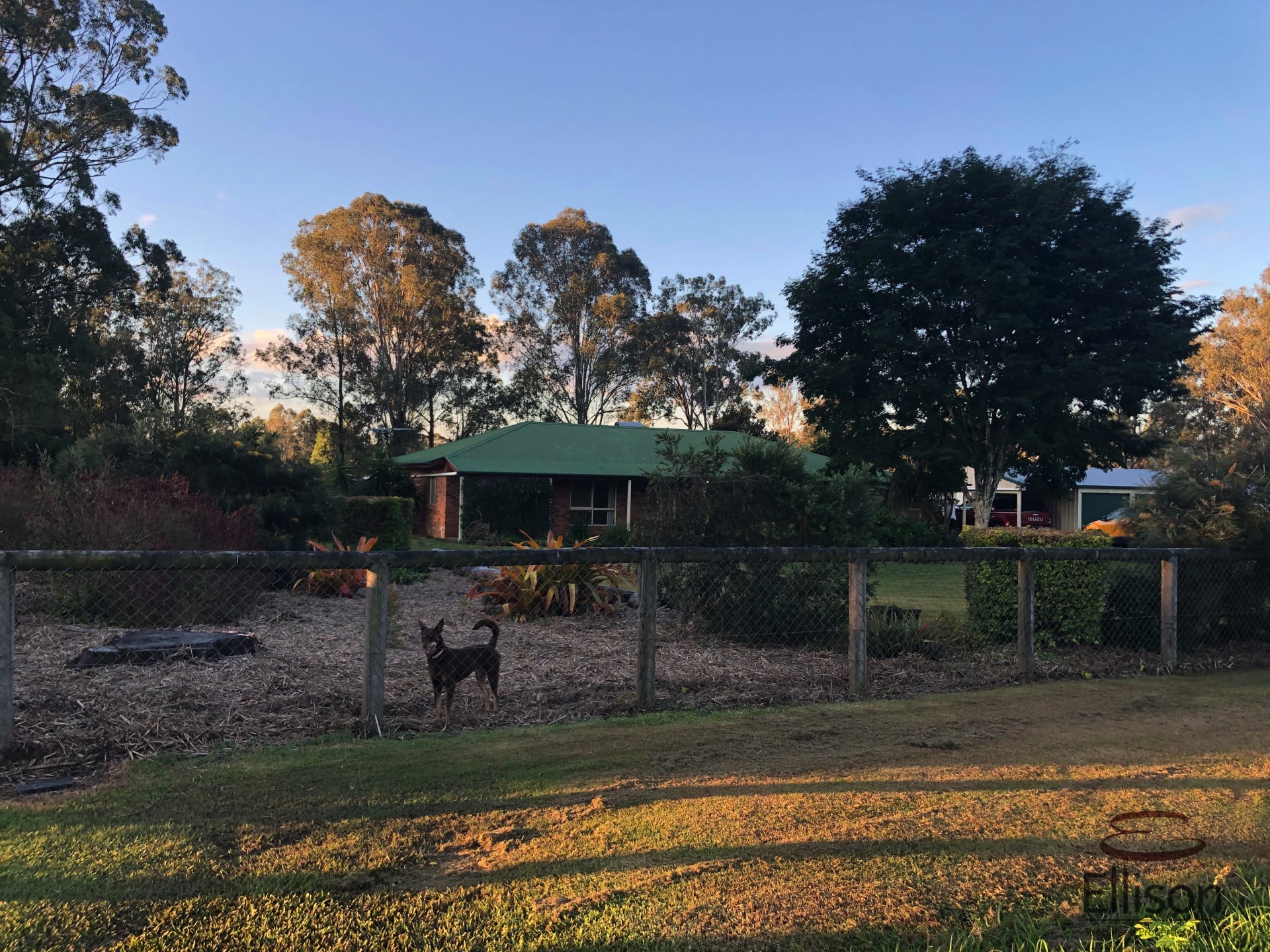 Image 13