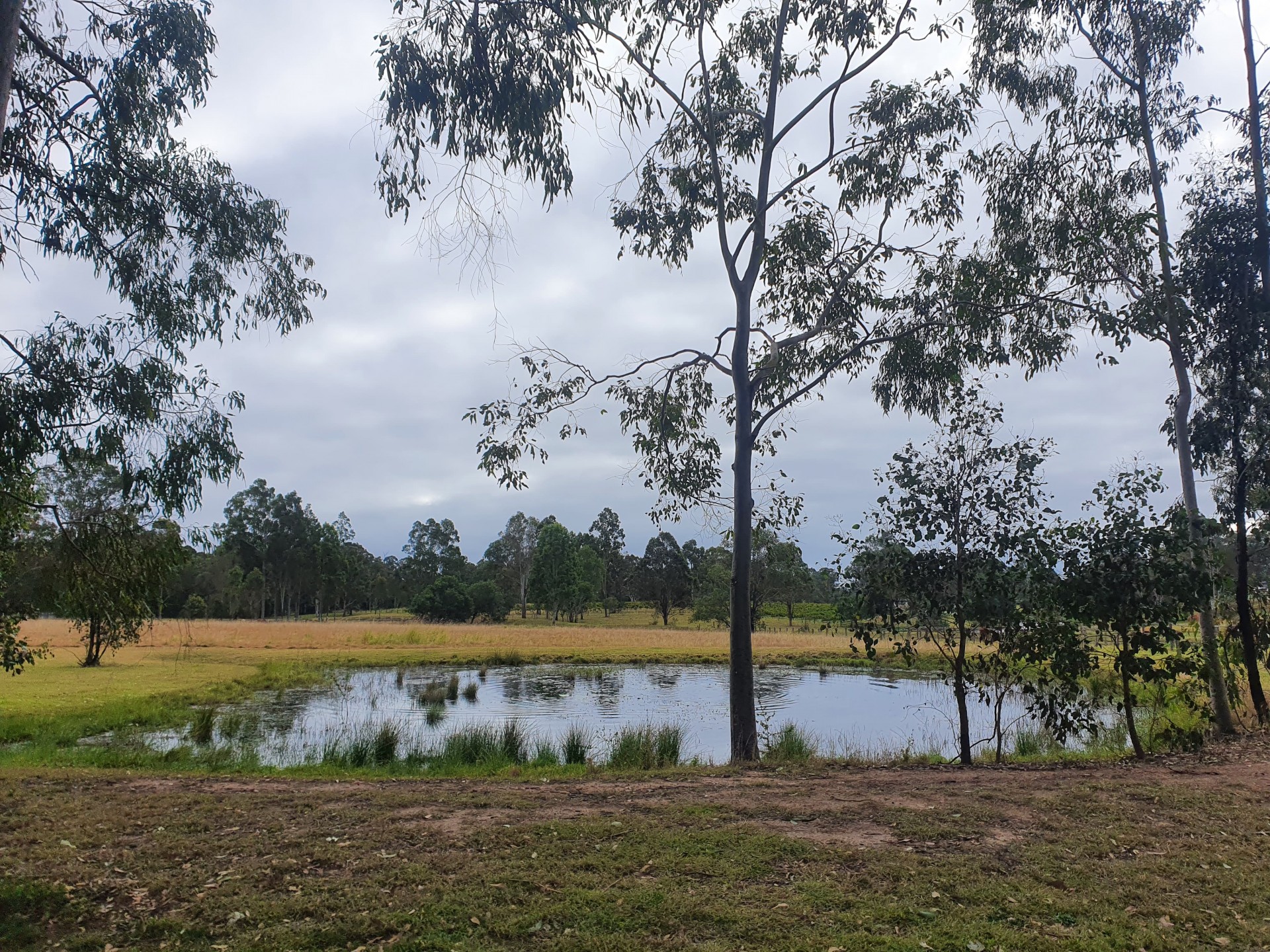 Image 15