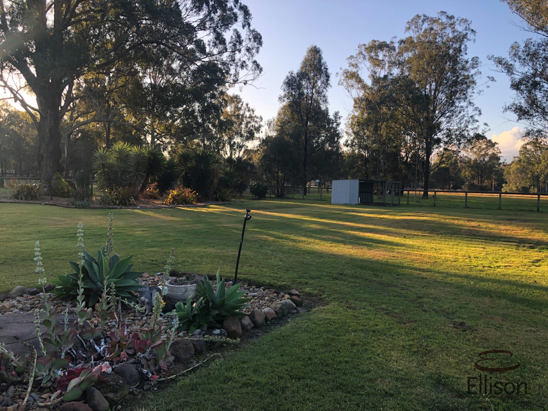 Image 12