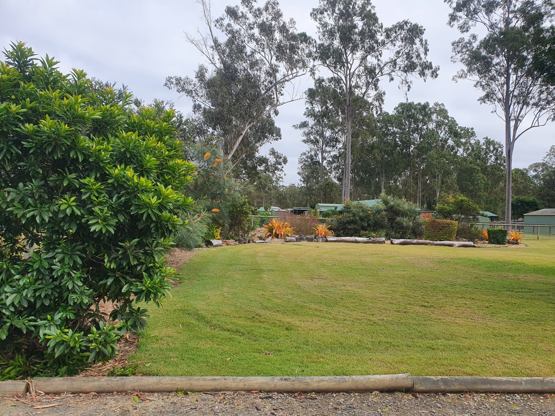 Image 19