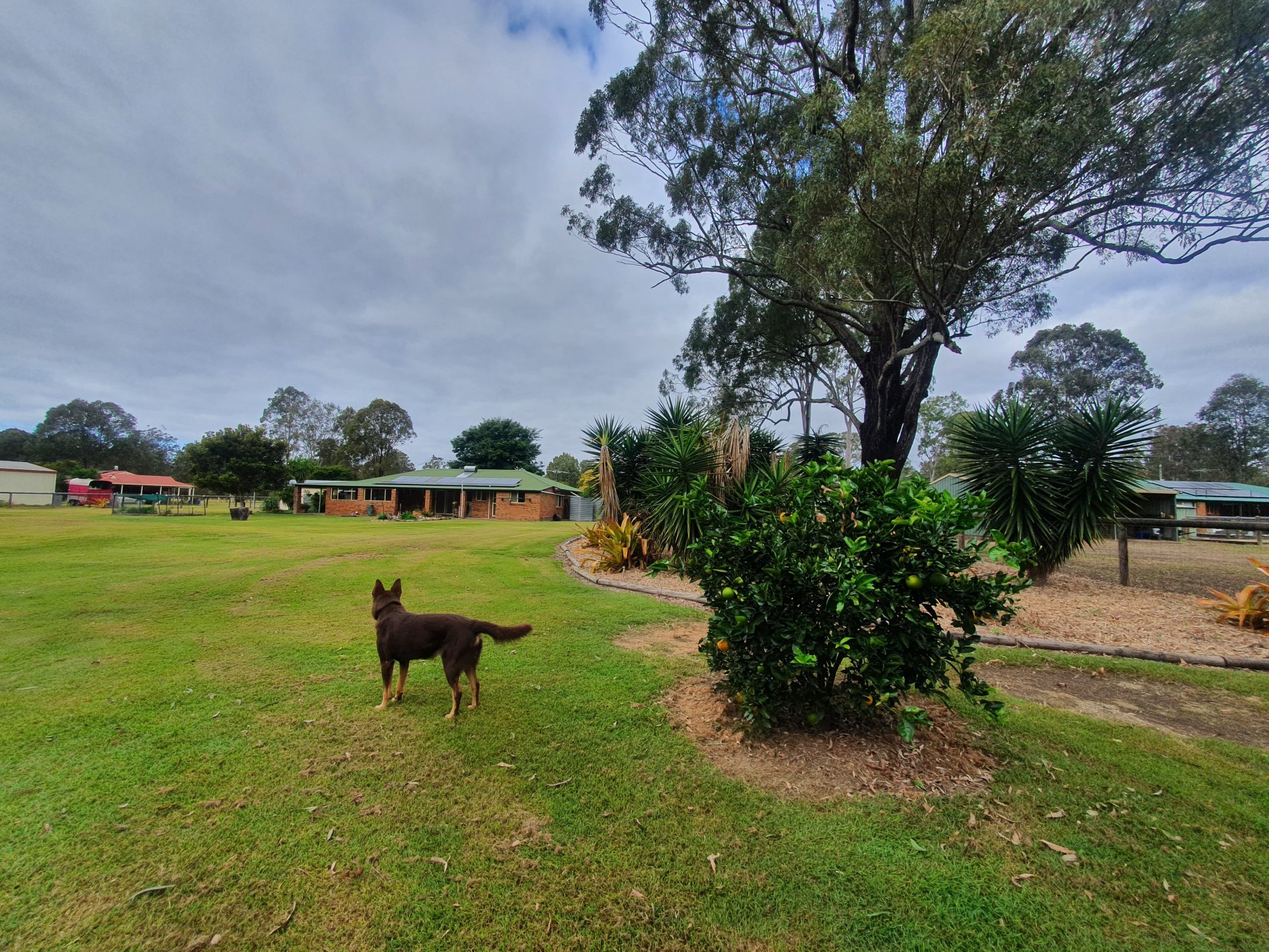 Image 22