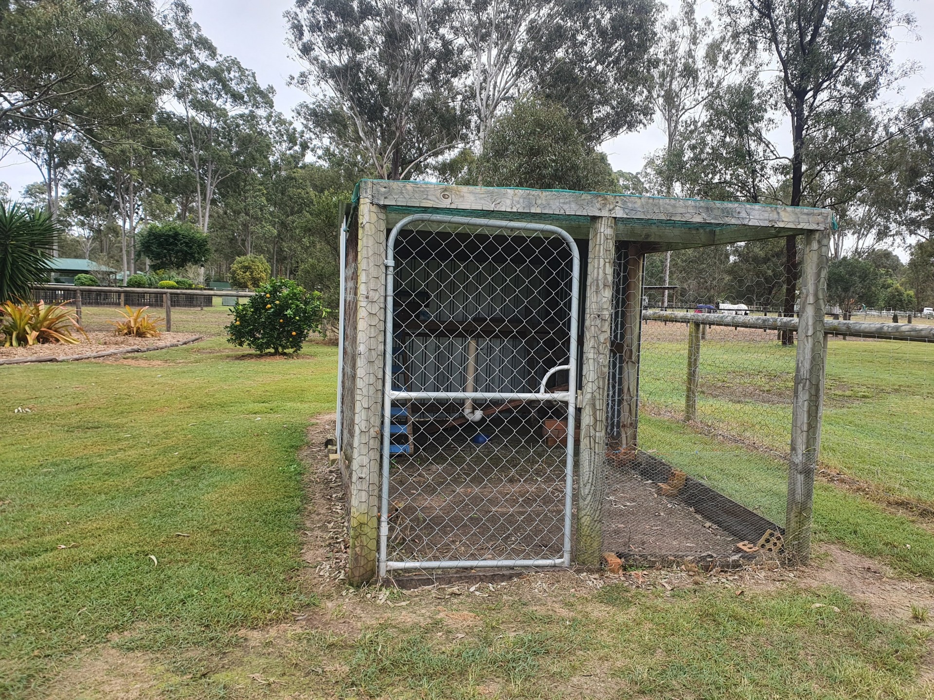 Image 25