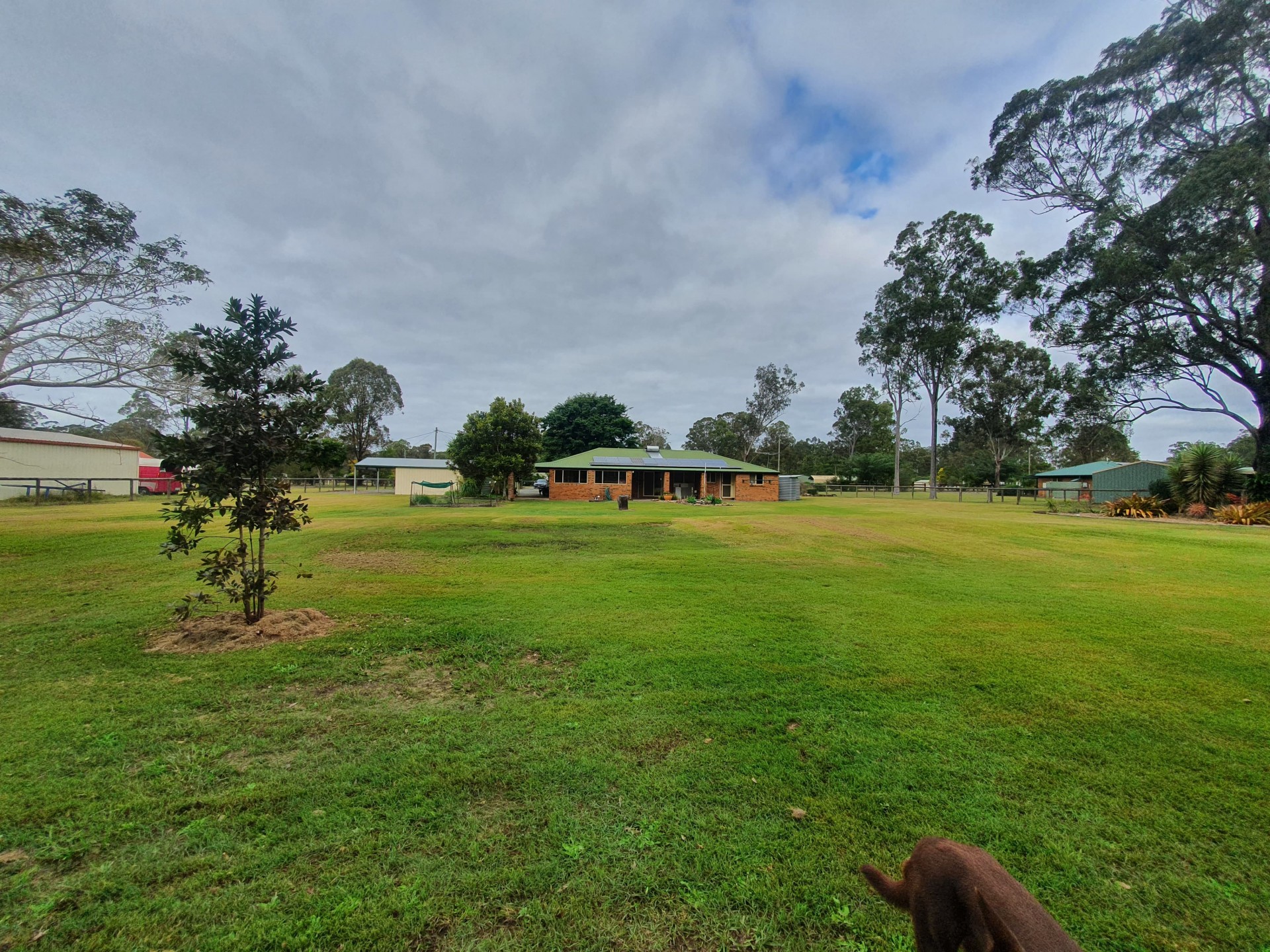 Image 10