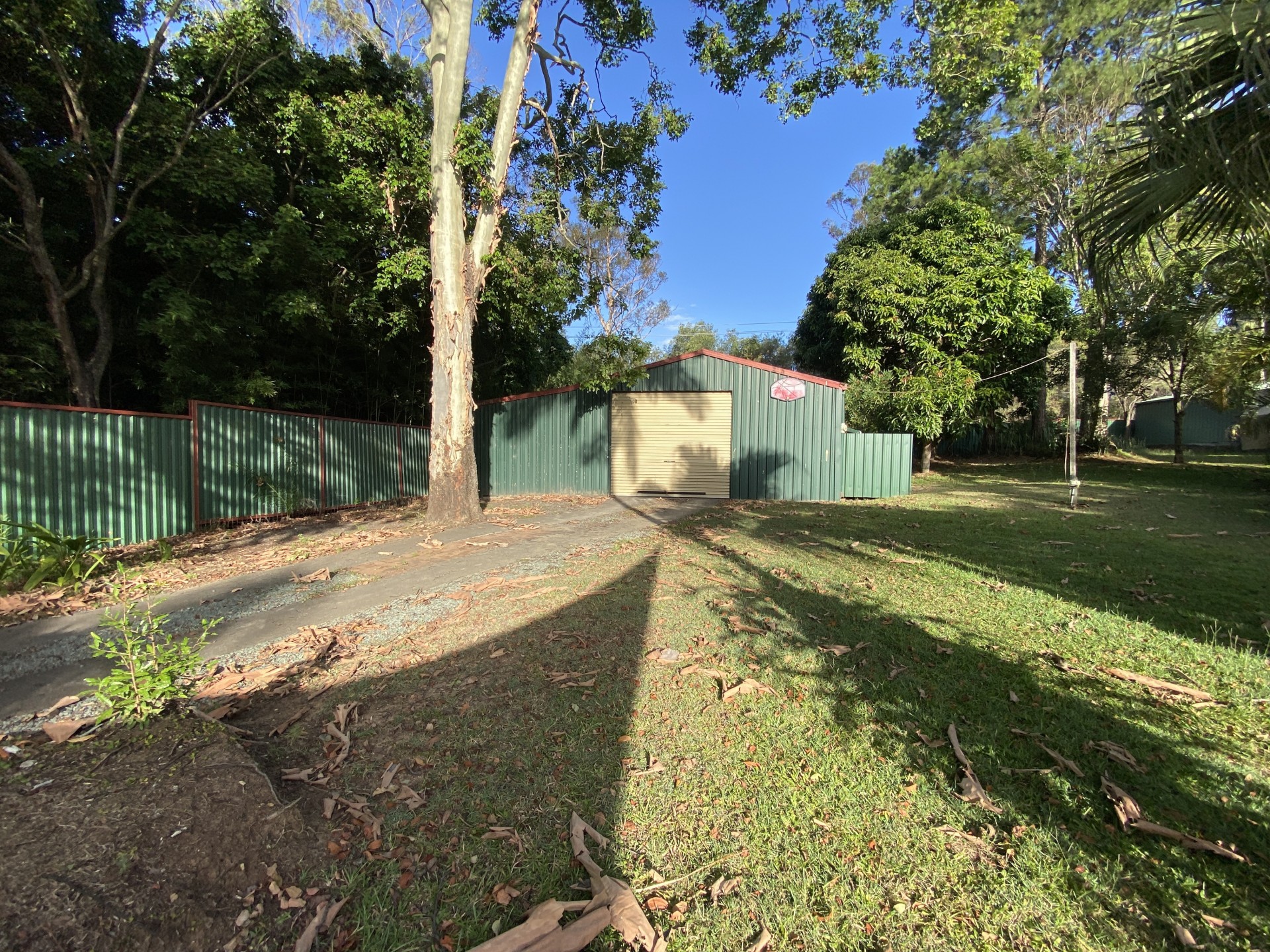 Image 10