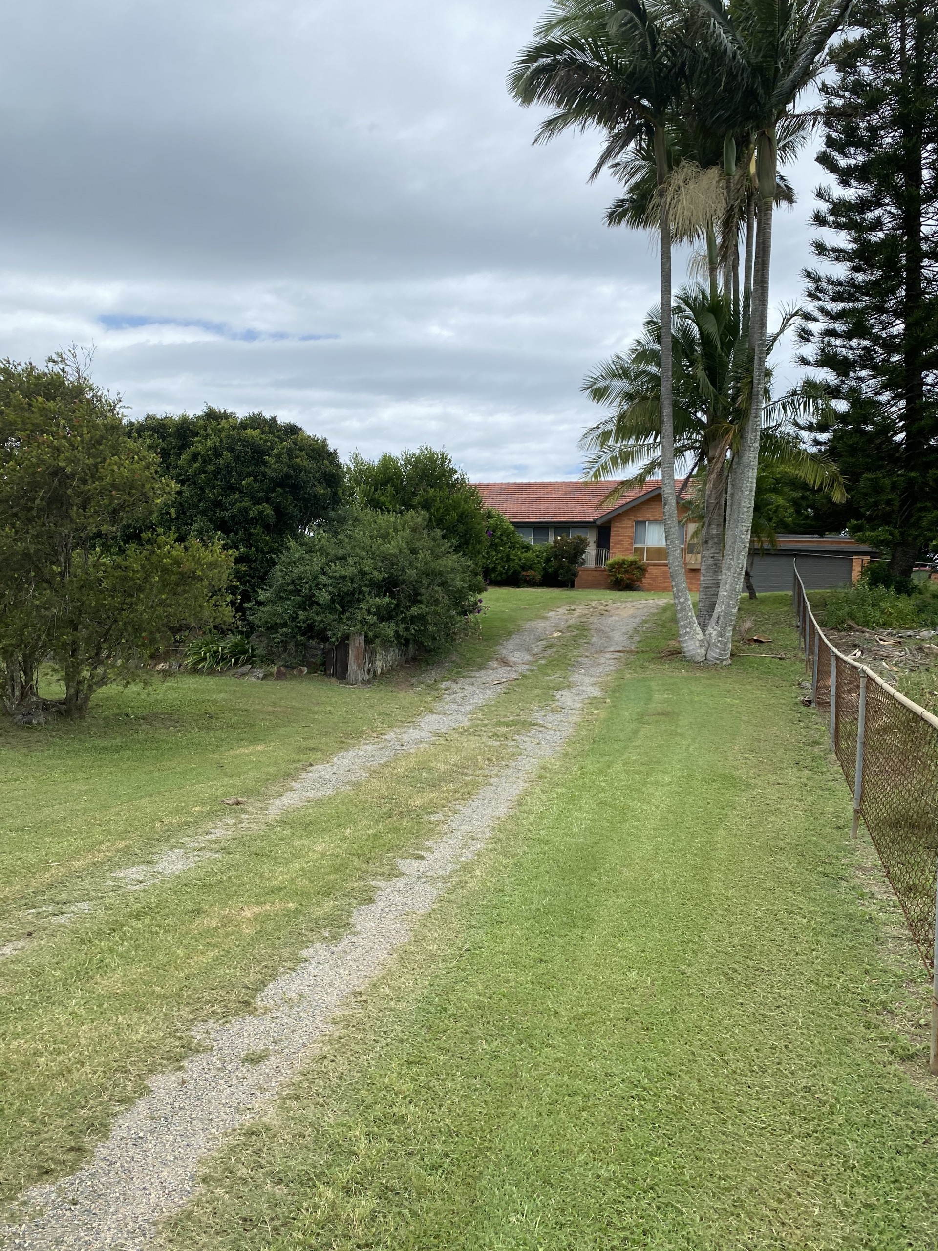 Image 19