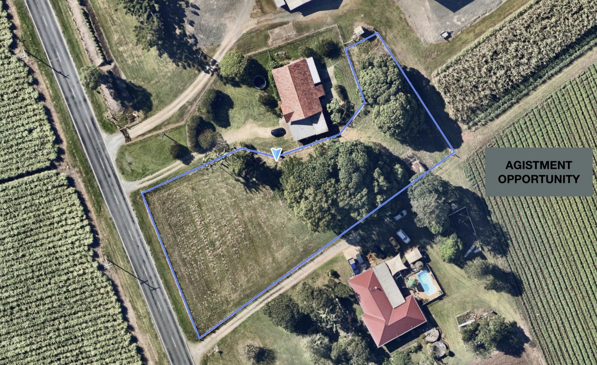 Image 21
