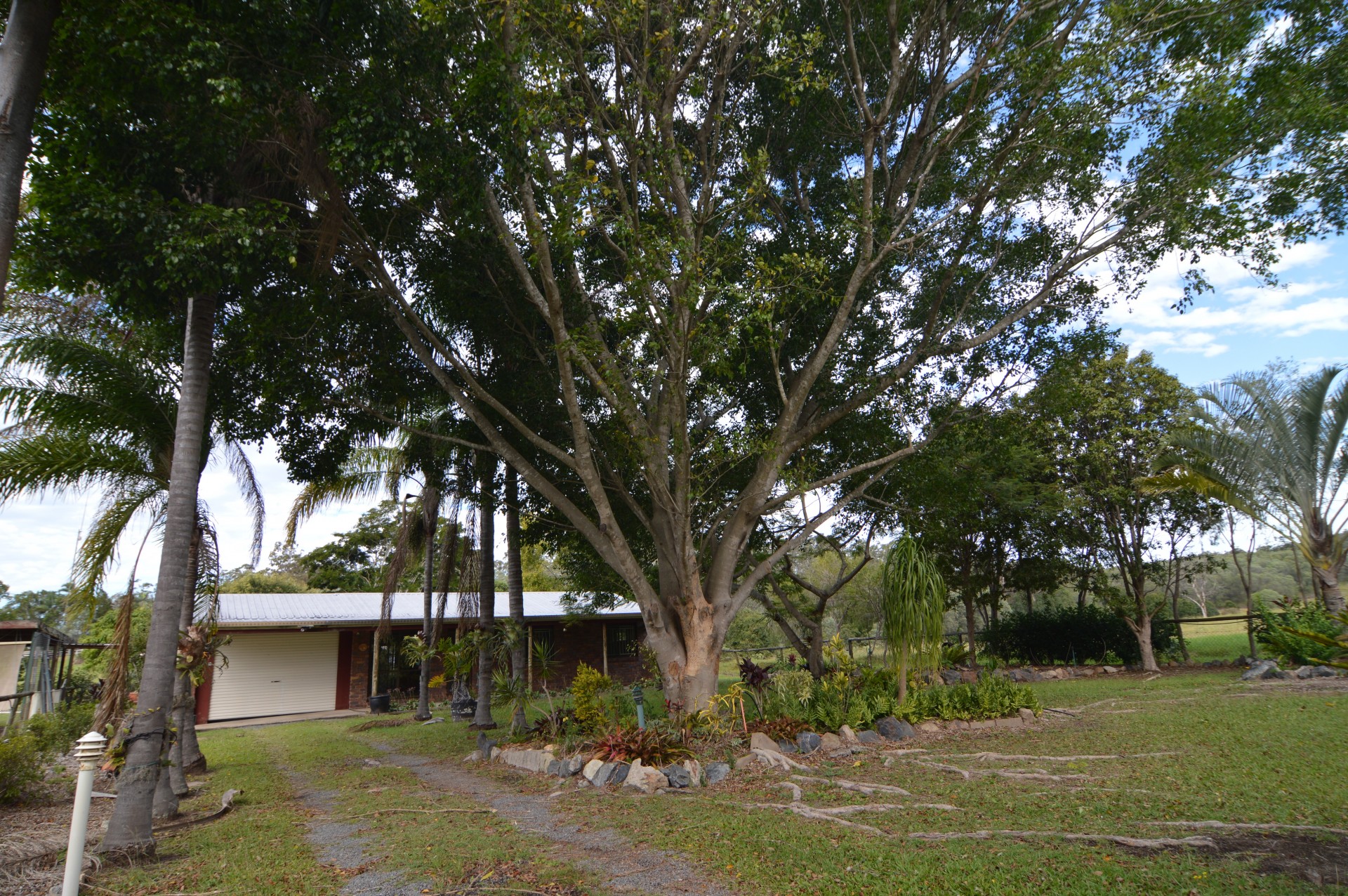 Image 20