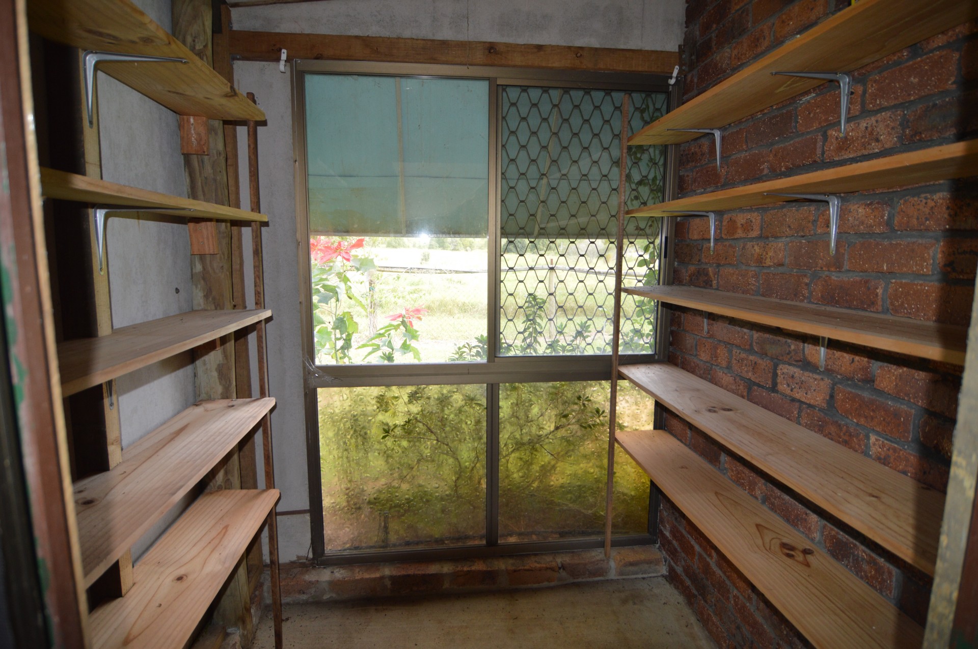 Image 15