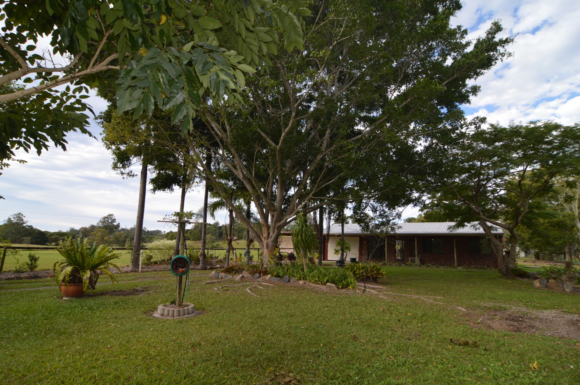 Image 10