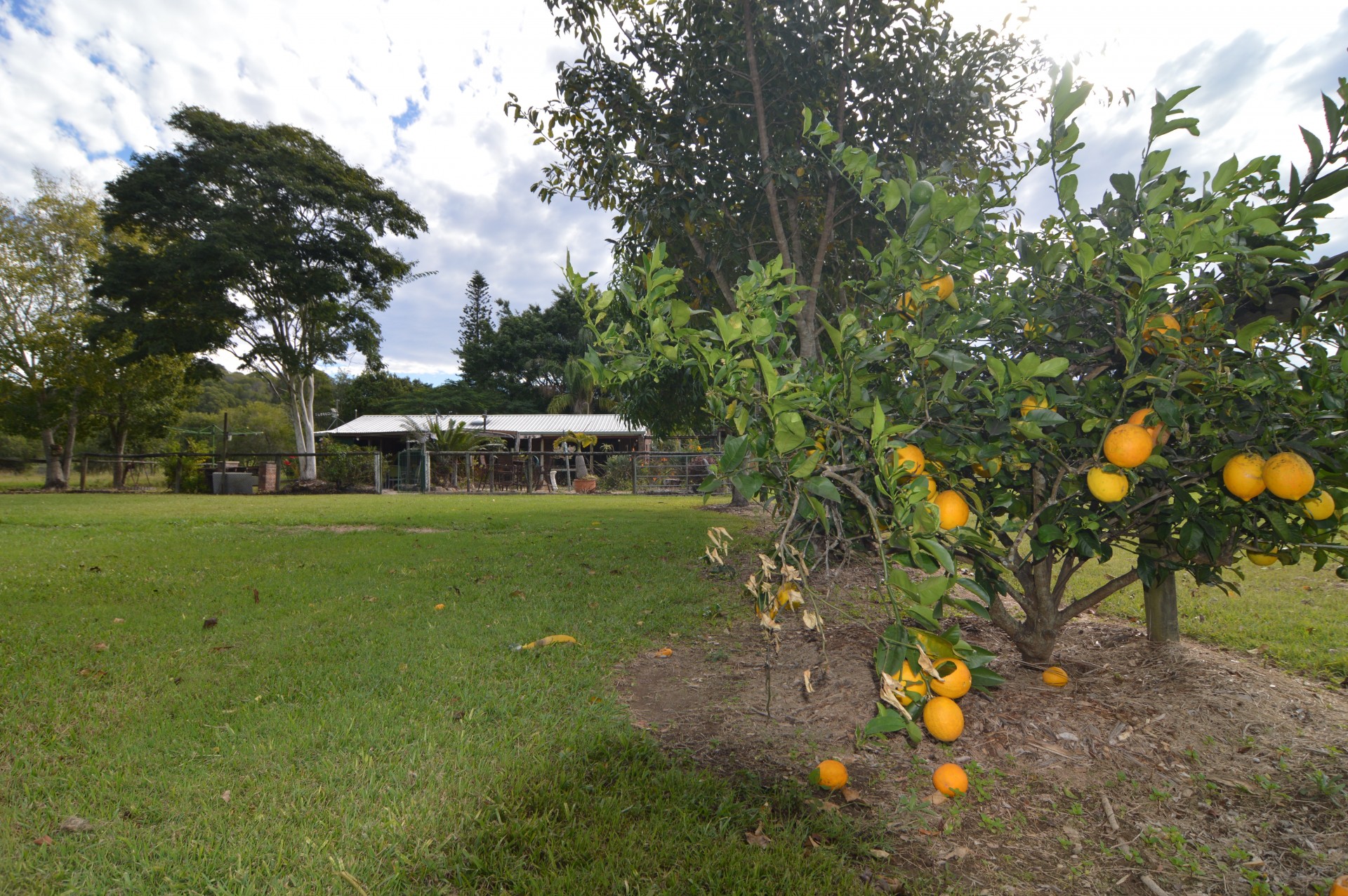 Image 25