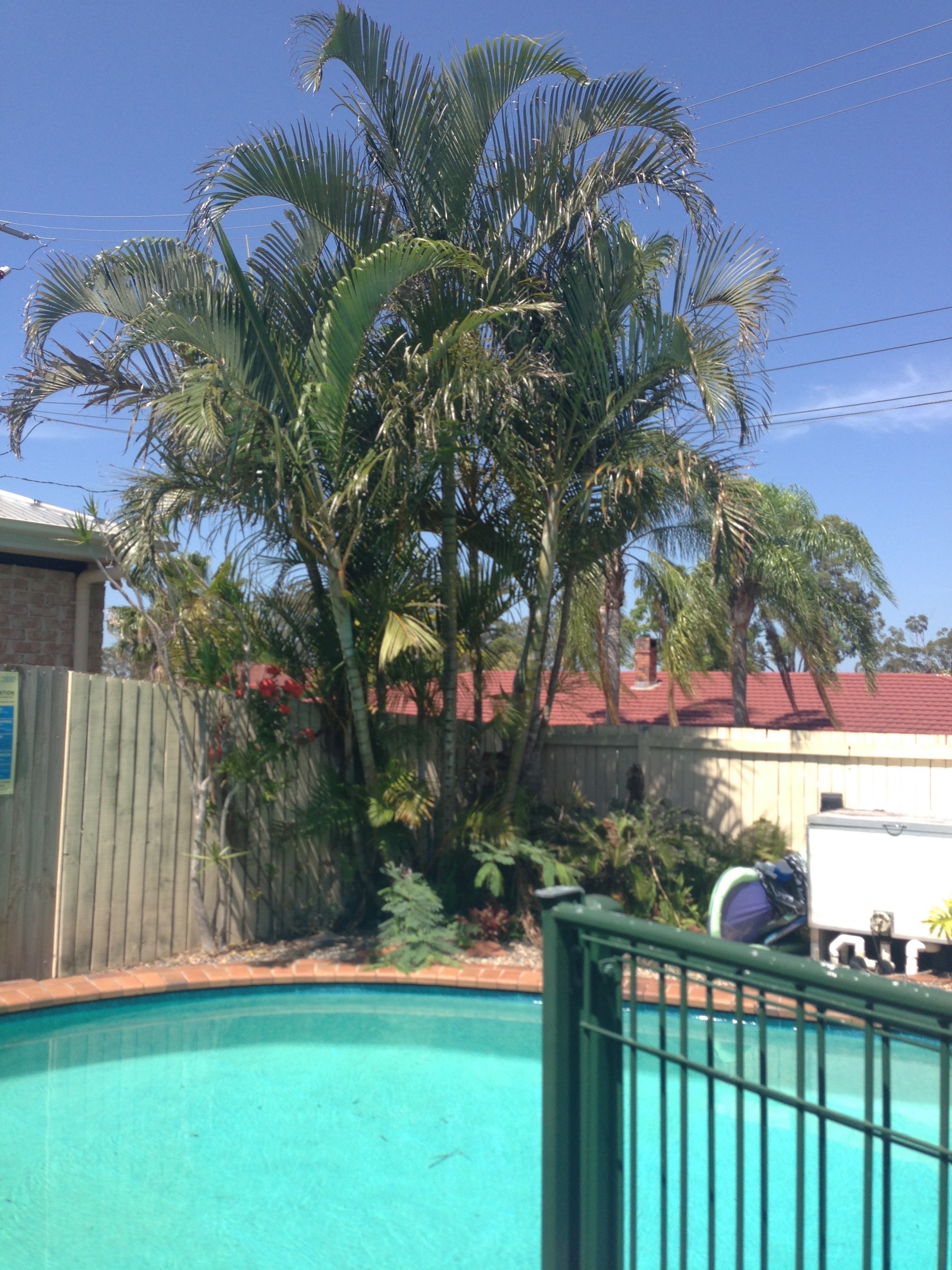 Image 10