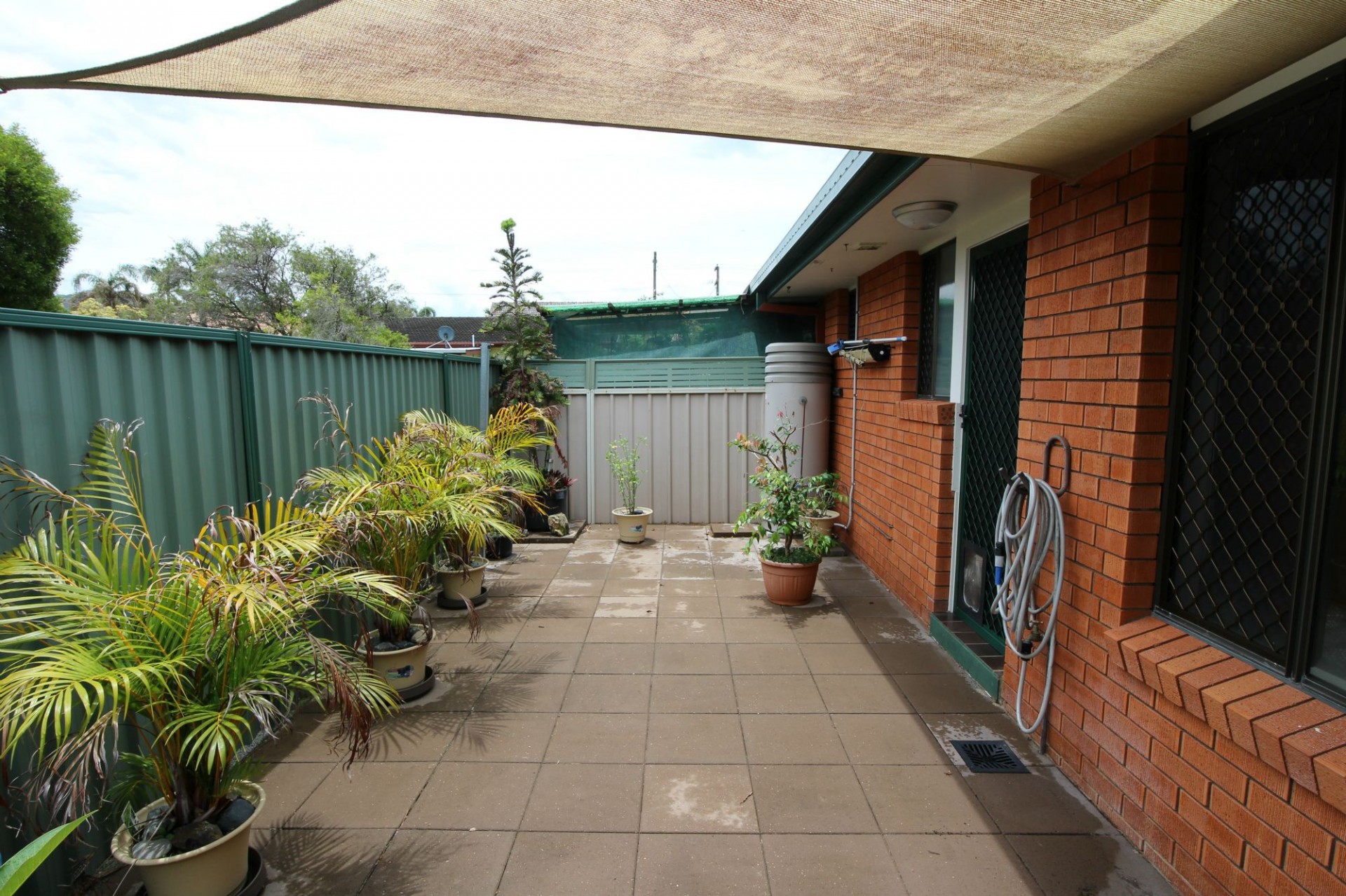 Image 9
